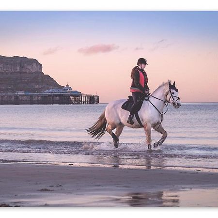 Superb Cintra Beachside Apartments Llandudno Buitenkant foto