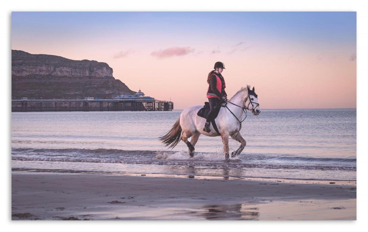Superb Cintra Beachside Apartments Llandudno Buitenkant foto